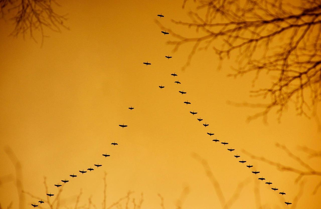 Domki Pod Jablonka Elganowo Bagian luar foto
