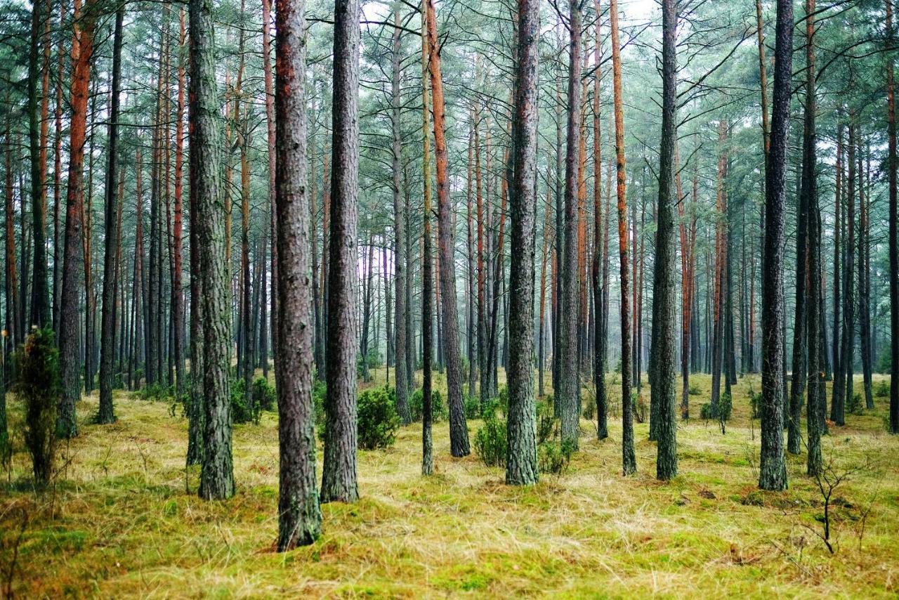 Domki Pod Jablonka Elganowo Bagian luar foto