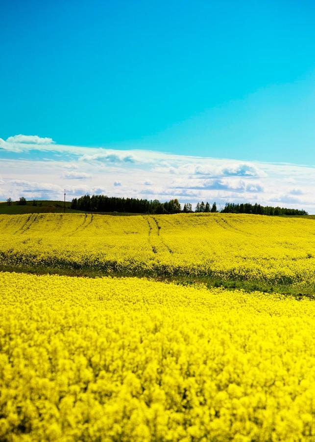 Domki Pod Jablonka Elganowo Bagian luar foto